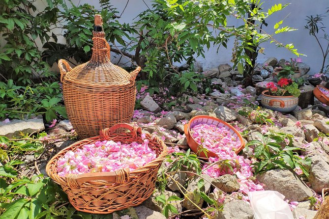 Picking Roses Workshop & Extracting Rose Oil in the Rose Valley - Seeing rose soap made at the factory