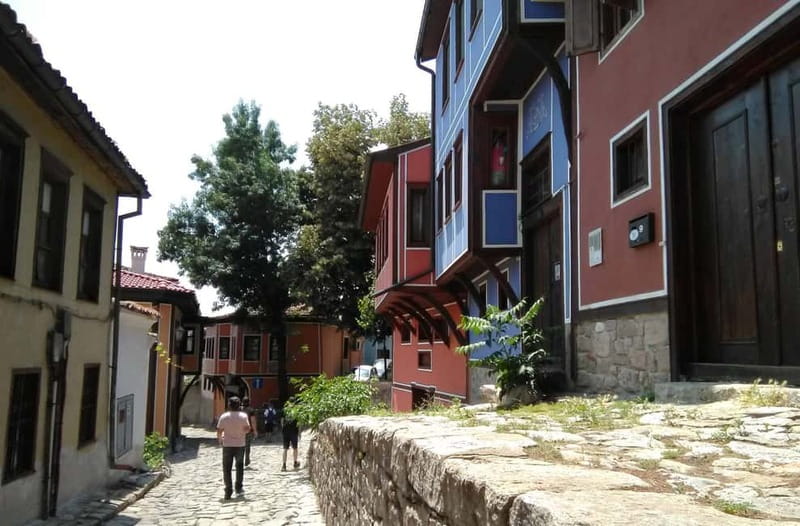Plovdiv and Bachkovo: Private Full-Day Tour from Sofia - Who should book this day trip?
