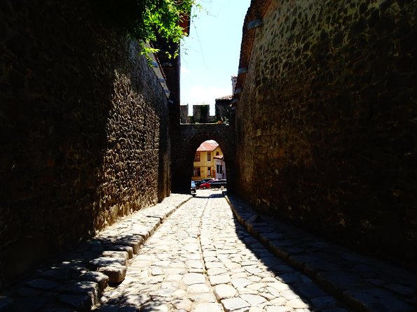 Plovdiv and Perushtitsa Day Trip with Wine Tasting from Sofia - Who should book this experience?
