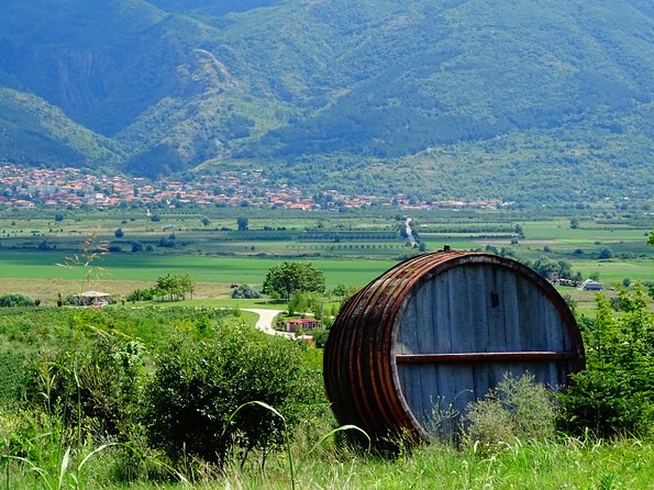 Plovdiv and Thracia Valley with Wine Tasting - A one-hour tasting at Villa Yustina