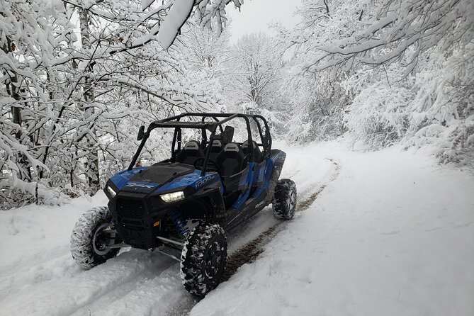 Private 1-Hour Quad or Buggy Safari in Borovets - A one-hour motor ride into the Rila Mountains