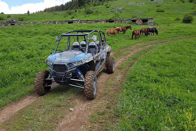 Private 1-Hour Quad or Buggy Safari in Borovets - Snowmobile upgrade when conditions turn white