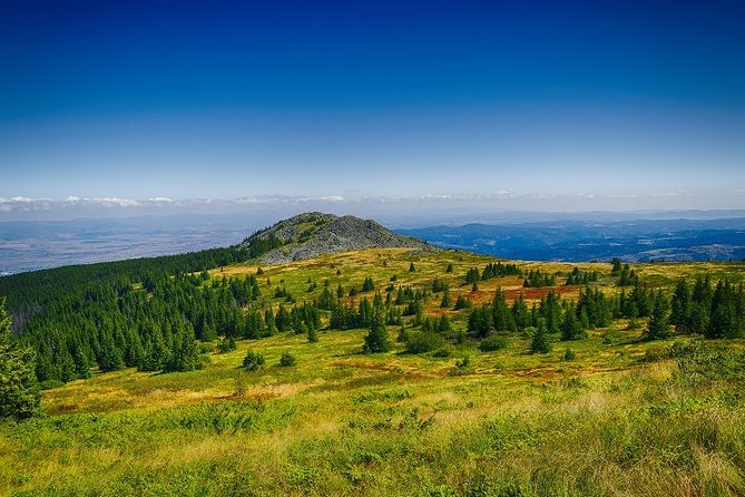 Private Day Trip to the Vitosha Mountain and Pancharevo Lake - Who will enjoy this six-hour outing