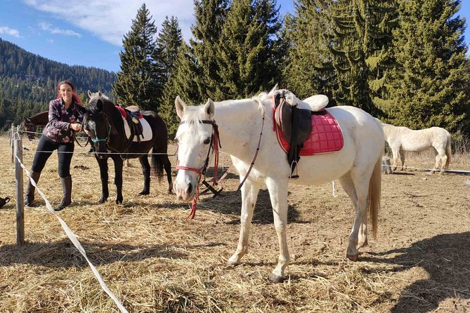 Private Horse Riding in the Balkan from Sofia - Weather, clothing, and practical preparation