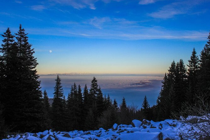 Private Mountain Biking in Vitosha from Sofia - Key points to know before you book