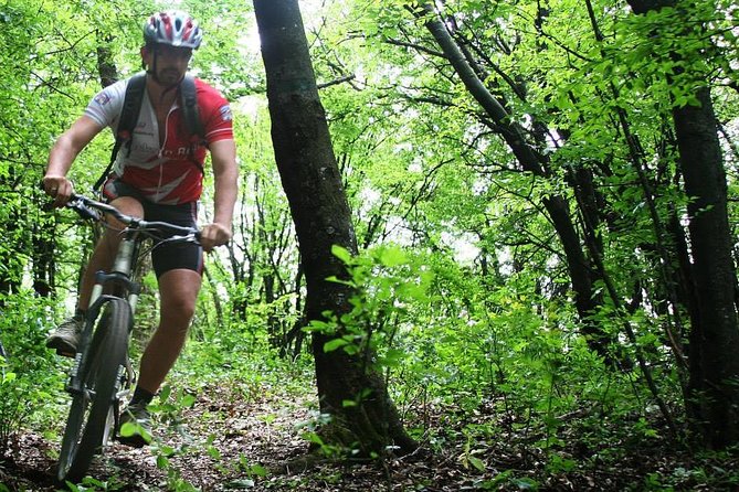 Private Mountain Biking in Vitosha from Sofia - What the private guide adds