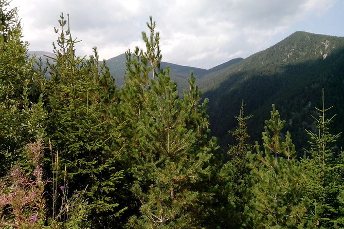 Private Vitosha Mountains Hiking with Black peak & Dragalevtsi Monastery - From Sofia streets to Cherni Vrah