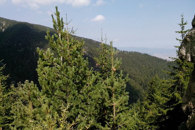 Private Vitosha Mountains Hiking with Black peak & Dragalevtsi Monastery - A short stop at Dragalevtsi Monastery
