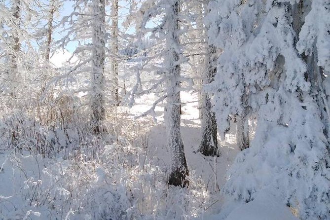 Private Vitosha Mountains Hiking with Black peak & Dragalevtsi Monastery - Who should choose this Vitosha day?