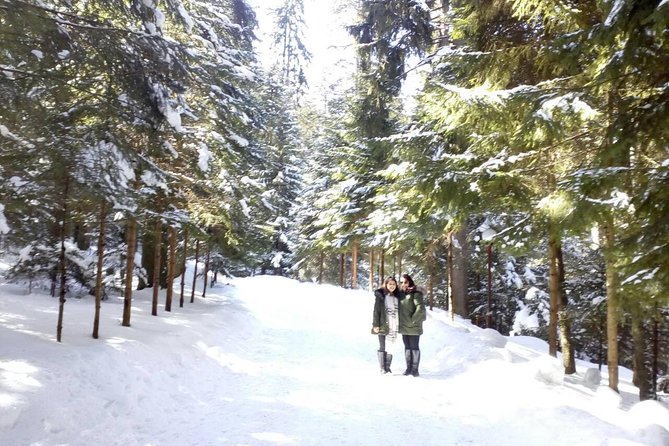 Private Winter Day Trip to the Rila Mountain - Borovets gives you the widest choice
