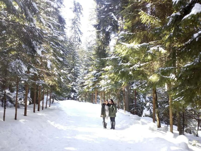 Rila Mountain Winter Day Trip - Key points to know before booking