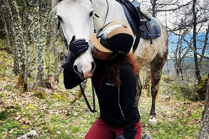 Rila National Park Horse Riding Adventure - Riding through pine forest, open meadows, and rivers