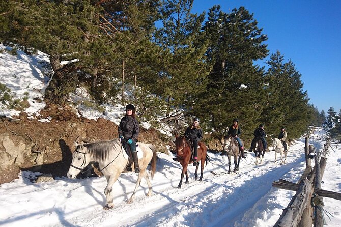 Rila National Park Horse Riding Adventure - What the price of $47.89 really covers