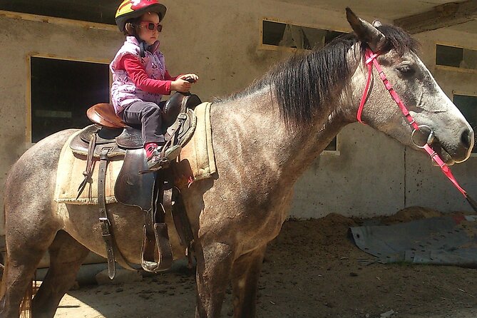 Rila National Park Horse Riding Adventure - Lunch or a drink after returning