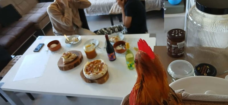 Sofia: Banitsa Pastry Class with a Local with Bulgarian Wine - What the price means at $58 per person