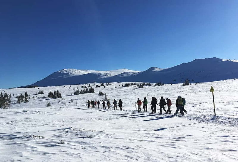 Sofia: Black Peak-Vitosha Mountain Snowshoeing Day Trip - Key points to know before you book