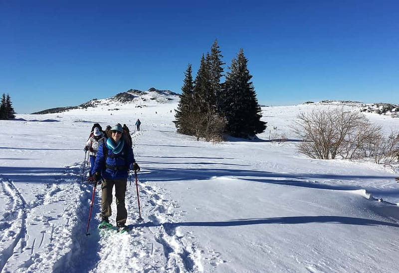 Sofia: Black Peak-Vitosha Mountain Snowshoeing Day Trip - From Sofia’s streets to Aleko Resort at 1,840 meters