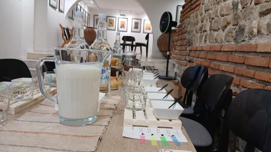 Sofia: Bulgarian Yogurt Tasting in Ancient Ruins - Ayran, sweet bites, and a little wine