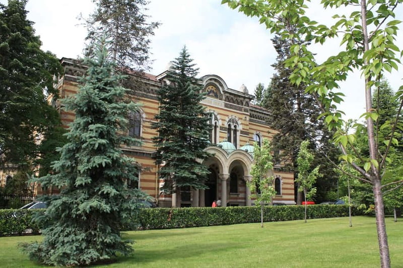 Sofia: Communist History Walking Tour - Vitosha Boulevard and the former party headquarters