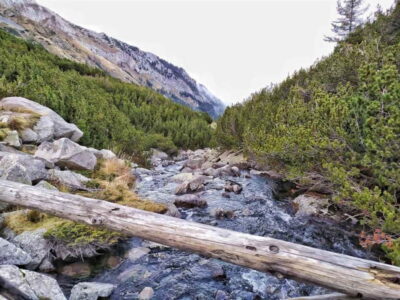 Pirin National Park Hike & Bansko Visit
