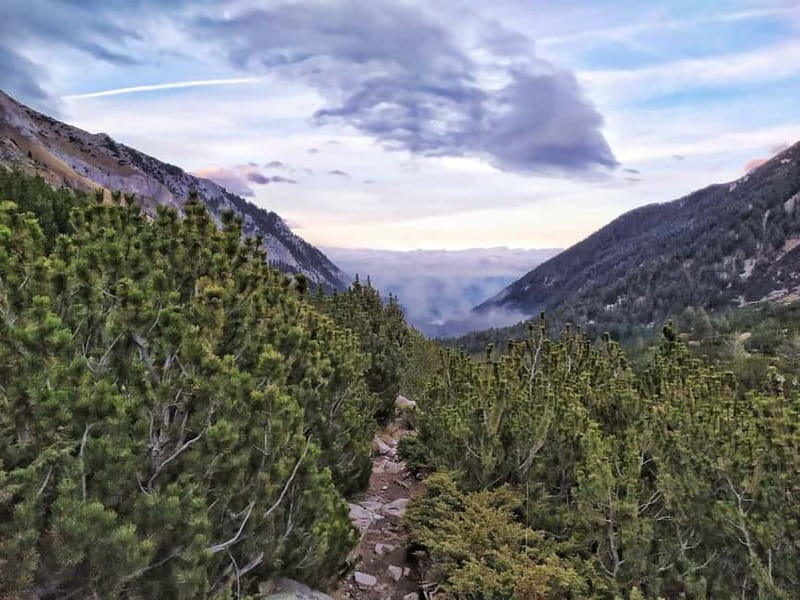 Sofia: Pirin National Park Hike & Bansko Visit - A 30-minute walk through Bansko’s Revival-era quarter