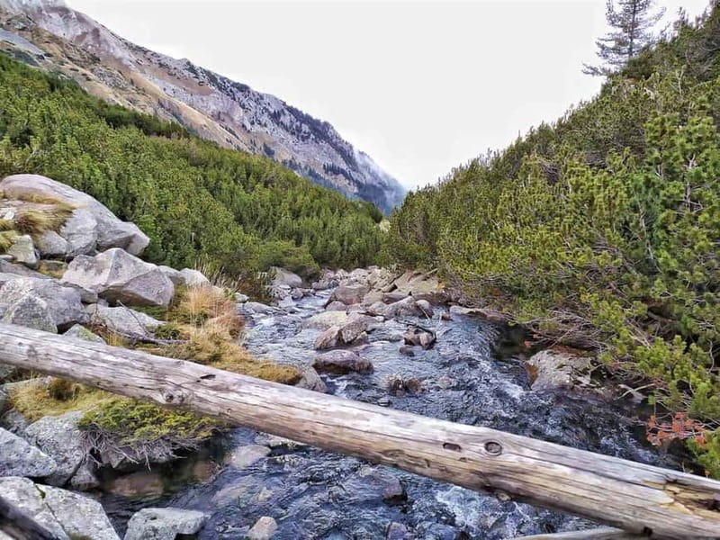 Sofia: Pirin National Park Hike & Bansko Visit - Banderishki Lakes and the Pirin views
