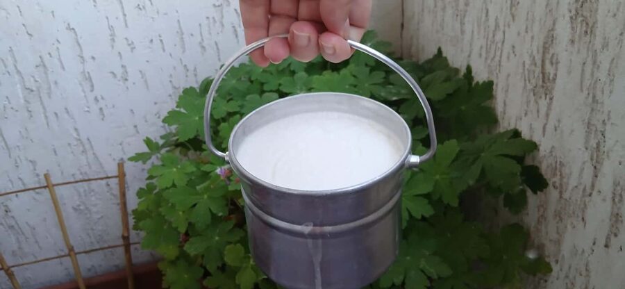 Sofia: Taste Bulgarian Yogurt Kiselo Mlyako in a Family Home - Why kiselo mlyako matters in Bulgaria