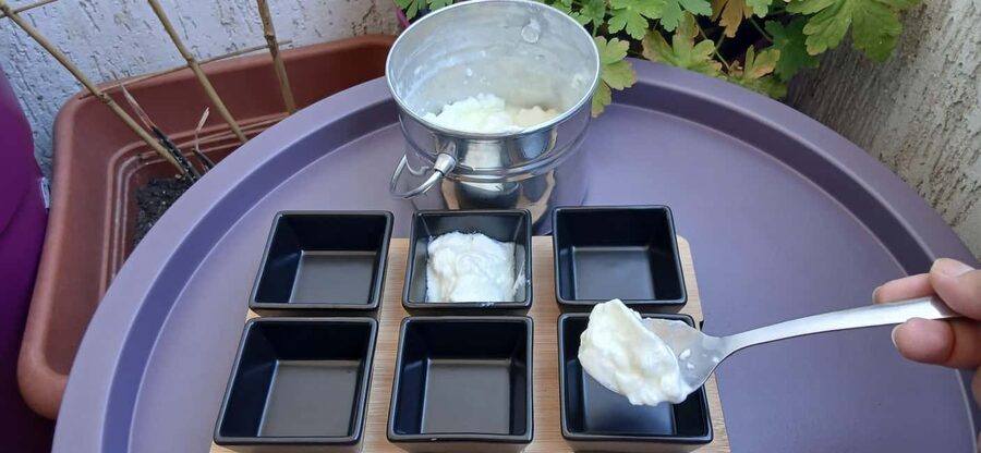 Sofia: Taste Bulgarian Yogurt Kiselo Mlyako in a Family Home - Honey, walnuts, jam, and the Bulgarian way to snack