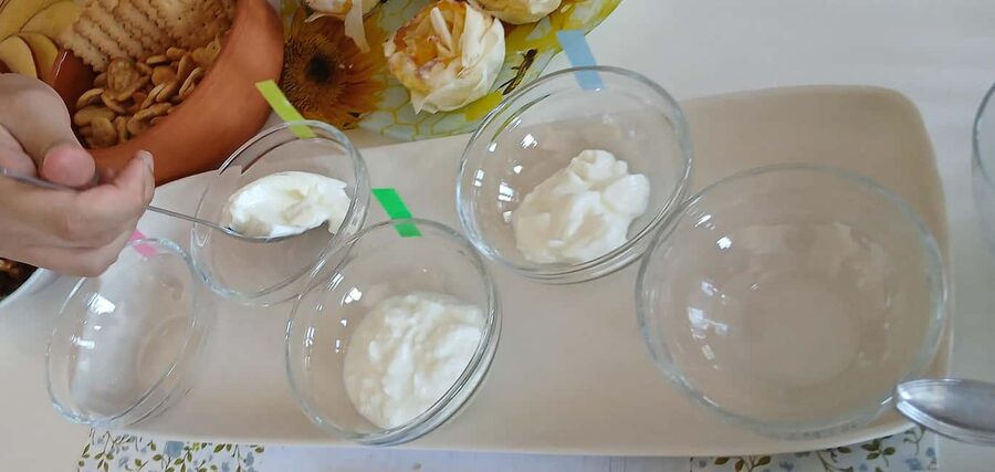 Sofia: Taste Bulgarian Yogurt Kiselo Mlyako in a Family Home - A glass of wine, coffee, or ayran