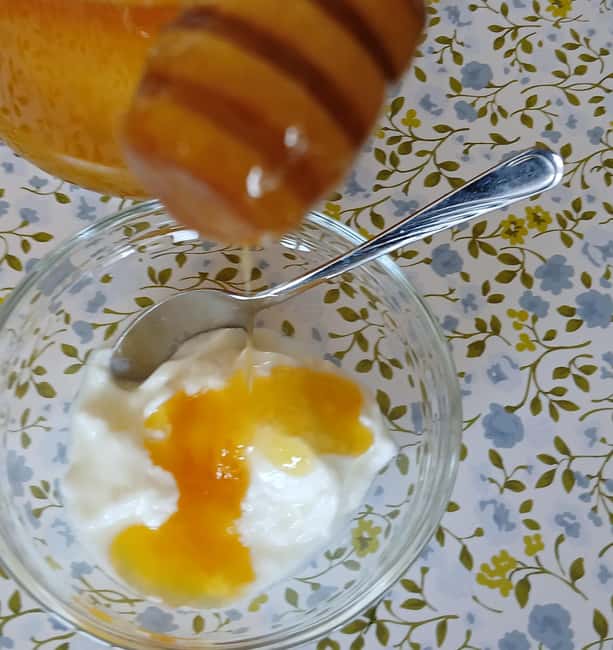Sofia: Taste Bulgarian Yogurt Kiselo Mlyako in a Family Home - Timing, group size, and practical planning