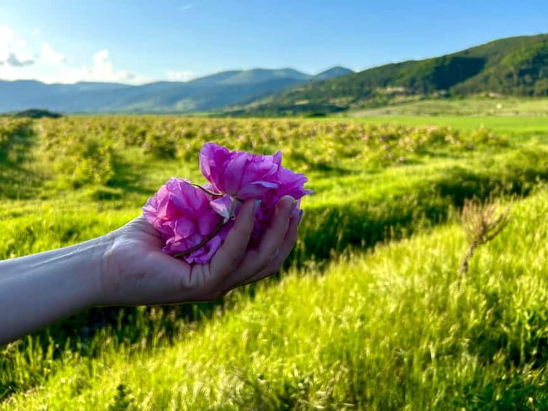 Sofia:The Highlights of Bulgaria - Rose Valley and Buzludzha - Key points to know before booking