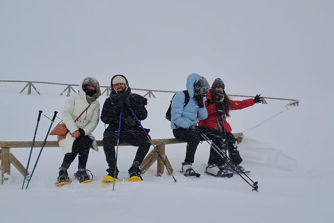 Sofia to Vitosha National Park Snowshoe Hike with Lunch time - Snowshoes, sticks, and a manageable pace