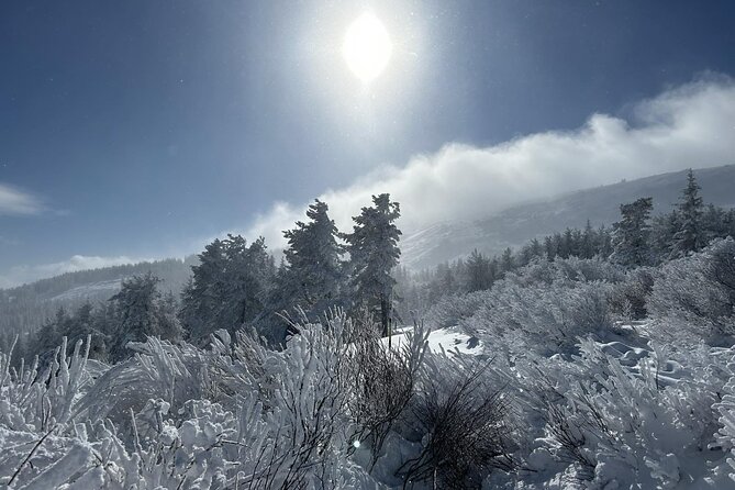Sofia to Vitosha National Park Snowshoe Hike with Lunch time - Transport, pickup, and group size