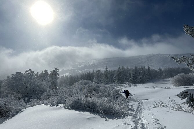 Sofia to Vitosha National Park Snowshoe Hike with Lunch time - What the Vitosha route feels like