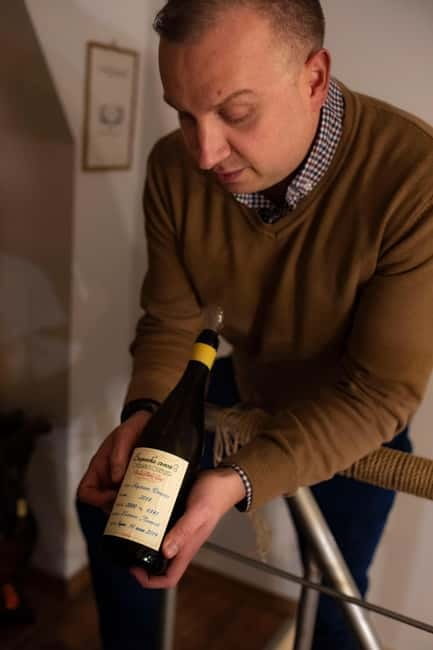 Sofia: Wine & Cheese Tasting Experience - Five wines, one glass, several styles