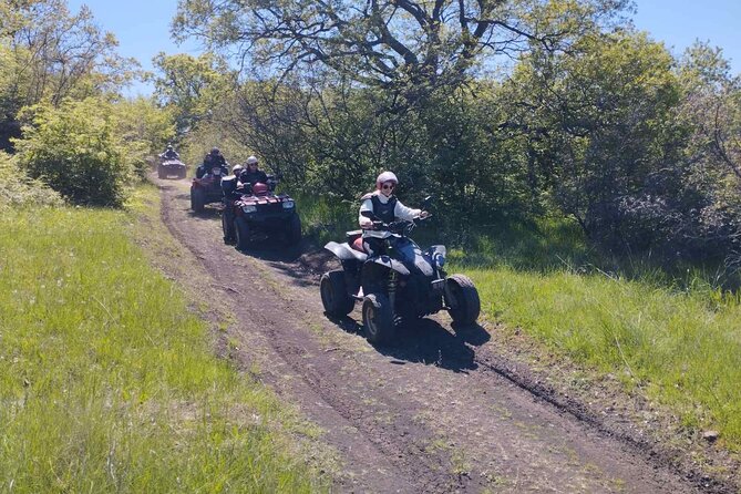 Southern Black Sea Quad Bikes Fun - Is $106.94 good value?