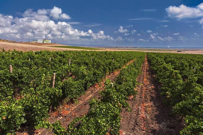Special History And Wine Tour including Wine Tasting - A winery built on a battlefield