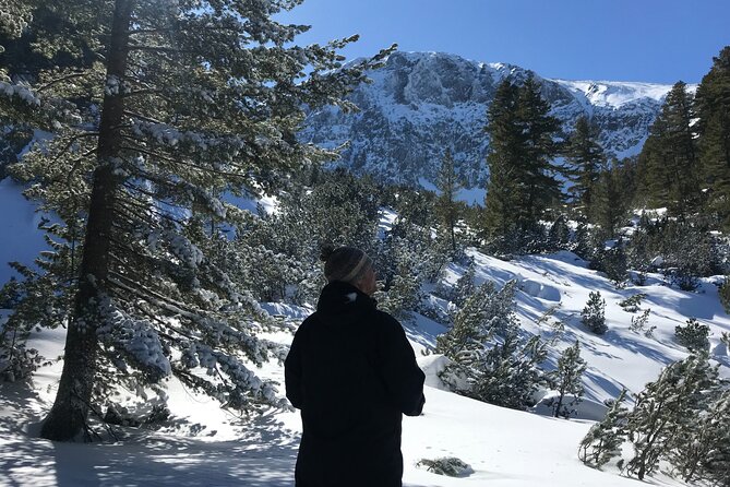 The Best of Bansko: Magical Snowshoeing Adventure & SPA - Is $124.02 good value?