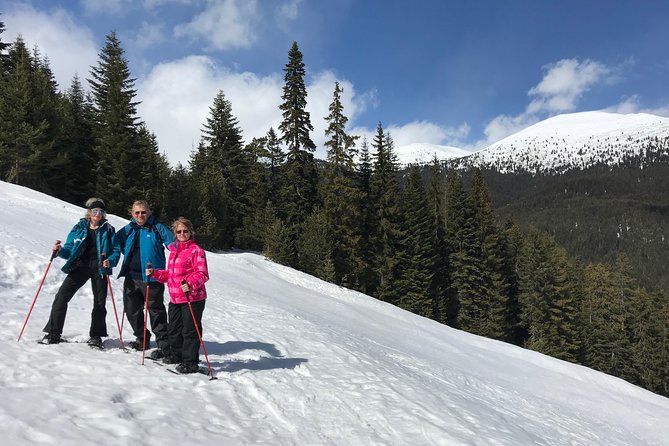 The Best of Bansko: Magical Snowshoeing Adventure & SPA - What the snowshoe walk feels like