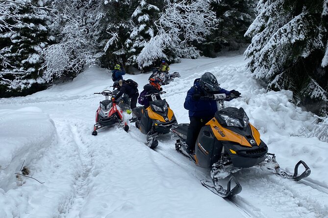 The Ultimate Snowmobile Adventure - 7 Rila Lakes & Panichishte - Is $31.79 per person good value?