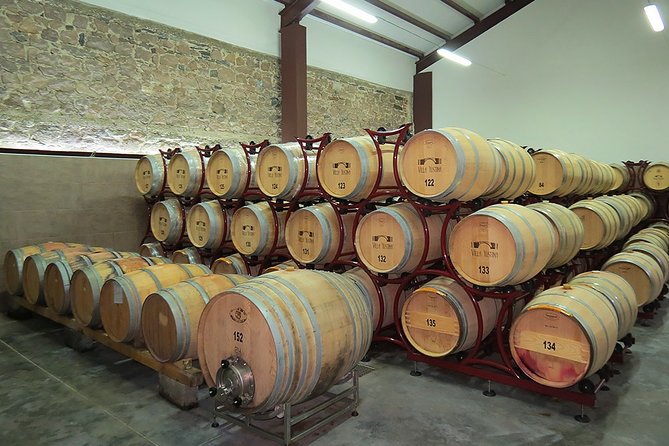 Thracian Valley wine tasting - private day tour from Plovdiv - What the tour does especially well