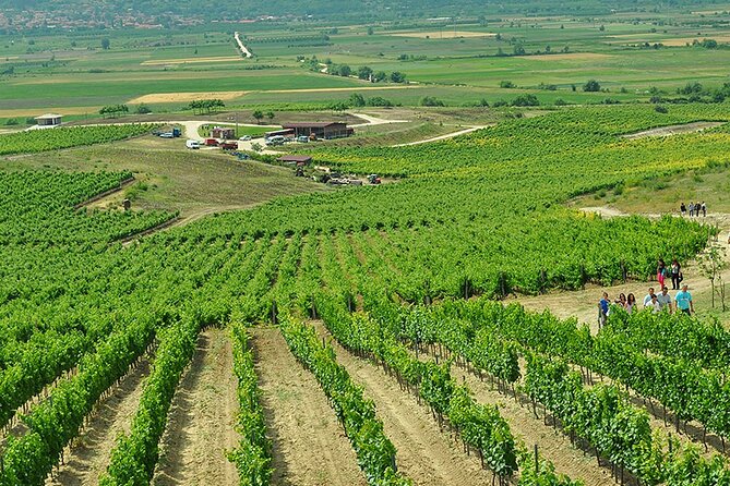 Thracian Valley wine tasting - private day tour from Plovdiv - Limits you should consider