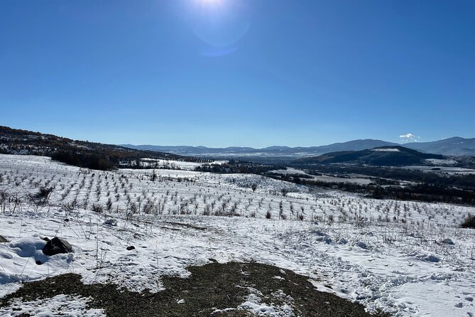 Truffle Hunting in Kyustendil - Claire, Casey, and the search beneath the hazelnuts