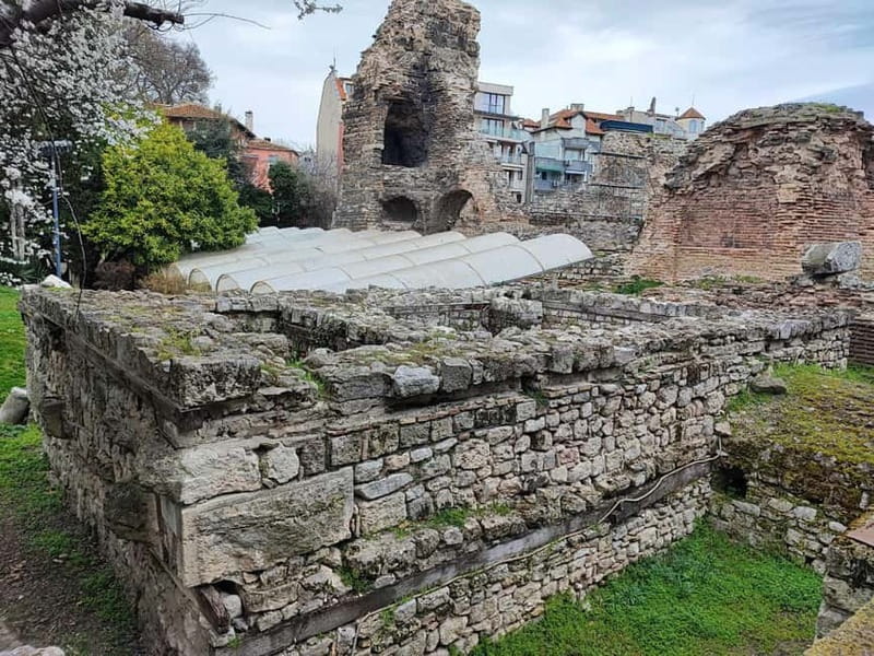 Varna Echoes: Flavors, Footsteps, Tales & Wine tasting - Local snacks that carry a sense of place