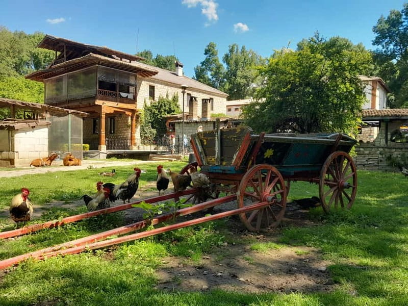 Varna: Guided VIP Tour - Key points at a glance