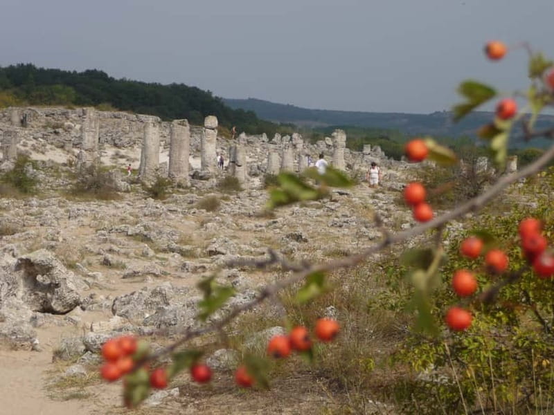 Varna: Guided VIP Tour - The final Beloslav stop and return