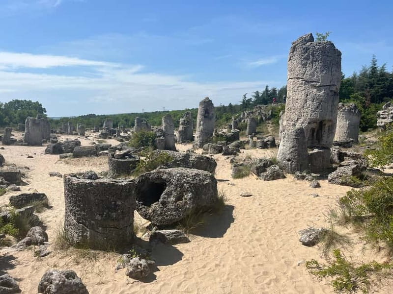 Varna: Stone Forest Tour at Sunset - What the strongest feedback tells me