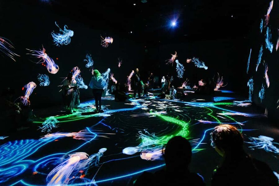 VIDENIE Immersive Art Space Entry Ticket - Key points at a glance