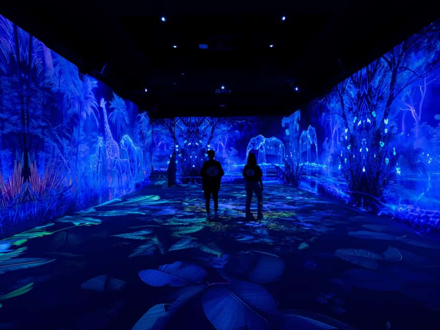 VIDENIE Immersive Art Space Entry Ticket - What happens inside VIDENIE