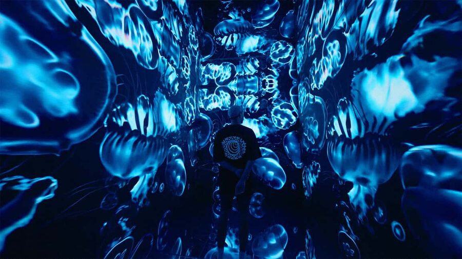 VIDENIE Immersive Art Space Entry Ticket - Beyond the regular exhibition